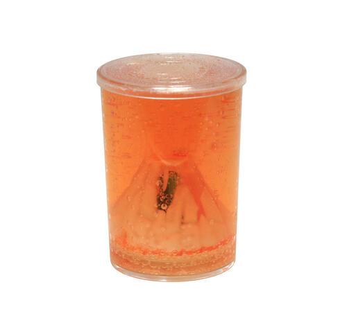 Fizzing volcano with growing dinosaur - Volcanosaurus