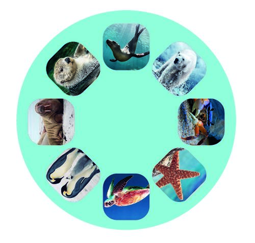 Small projector – marine creatures