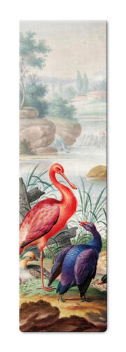 Birds near a Mountain Stream