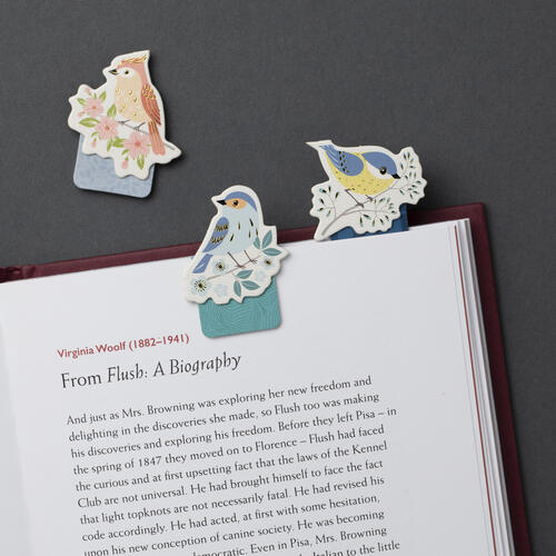 Magnetic Bookmarks - Birds