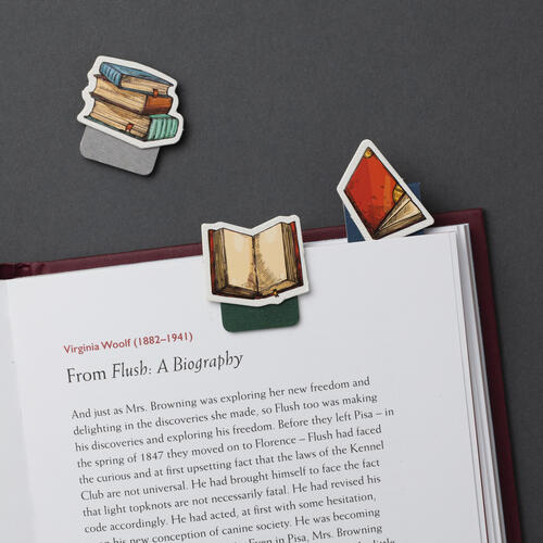 Magnetic Bookmarks - Books