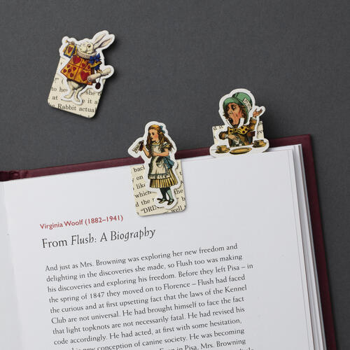 Magnetic bookmarks - Alice