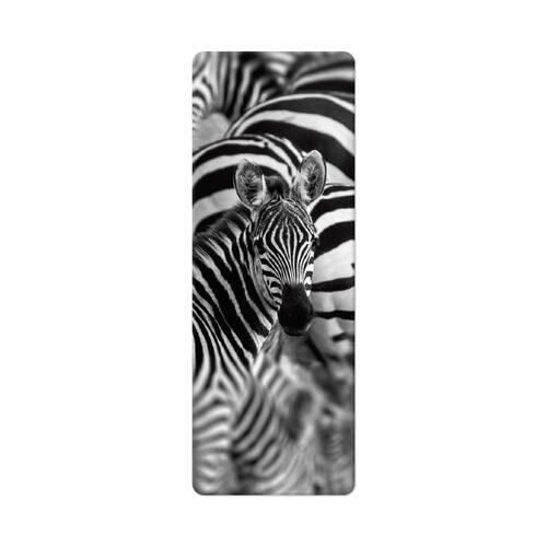 3D Book Divider - Zebras - black and white