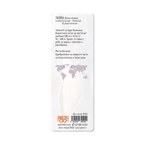 3D Book Divider - Baby seal
