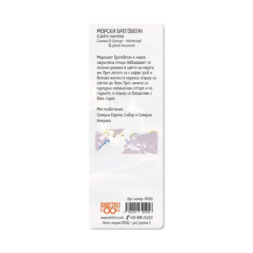 3D Book divider - Shorebird