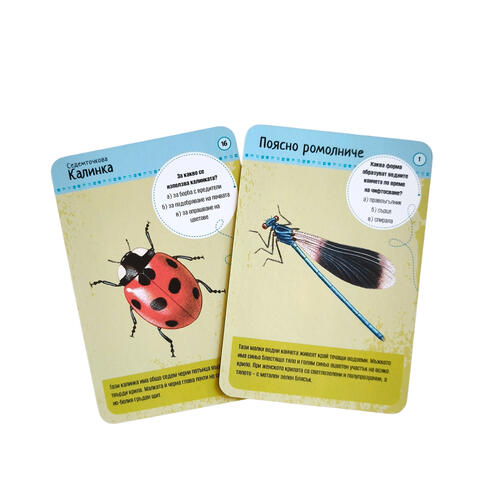 50 european insects and spiders