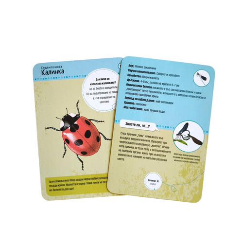 50 european insects and spiders