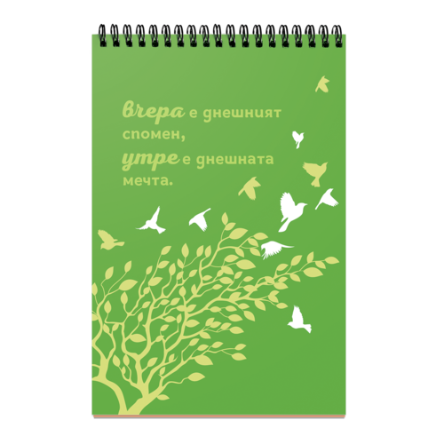 Fall asleep with a dream, wake up with pupose!