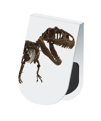 Natural history