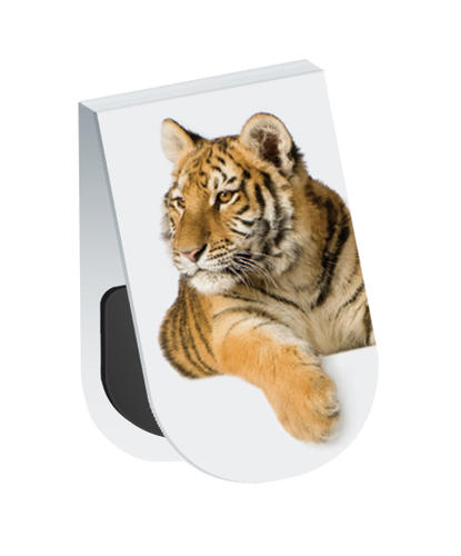 Wildlife