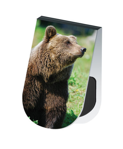 Wildlife