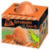 Fizzing Dinosaur Egg