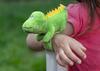 Plush dinosaur snap bracelet