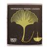 Ginkgo