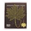 Maple