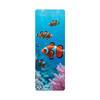 Clownfish
