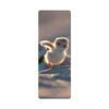 Plover