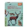 50 european forest and wild animals