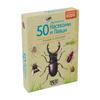 50 european insects and spiders