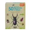 50 european insects and spiders