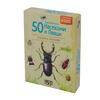 50 european insects and spiders