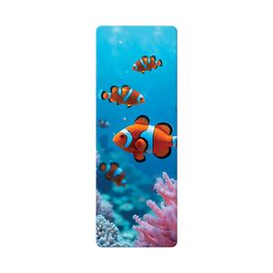 3D | 3D Book divider - Clown fish