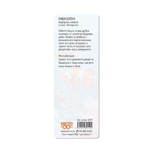3D Book divider - Clown fish
