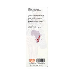 3D Book divider - Zebras