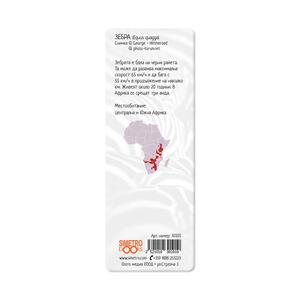 3D Book Divider - Zebras - black and white
