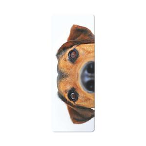 3D | 3D Book divider - Dog
