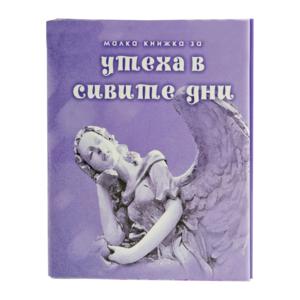 Small book | For consolation in the gray days
