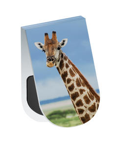 Wildlife