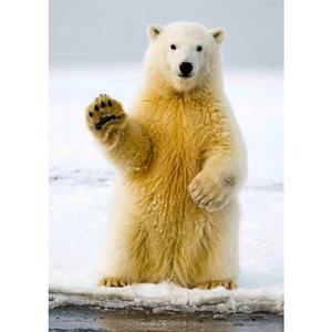 Пощенска картичка - Полярна мечка-махаща