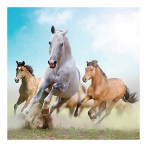 Картичка квадрат - Коне